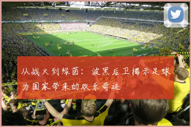从战火到绿茵：波黑后卫揭示足球为国家带来的欢乐奇迹